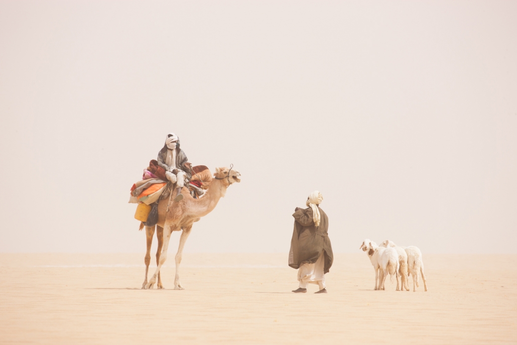 Chadian men with camel and goats meeting in desert during a sand storm