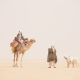 Chadian men with camel and goats meeting in desert during a sand storm