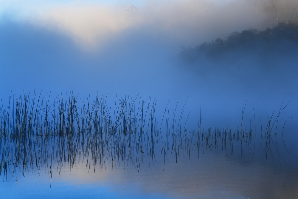 Small lake in early morning fog