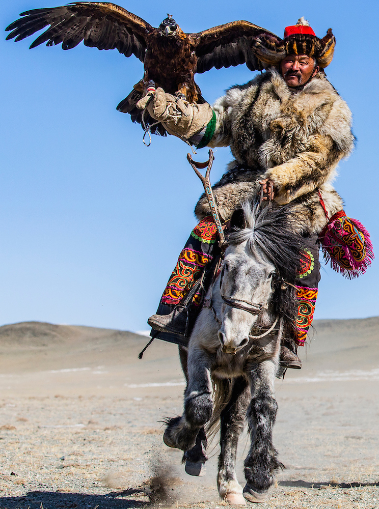 Kazakh eagle hunter riding on horseback with their golden eagles