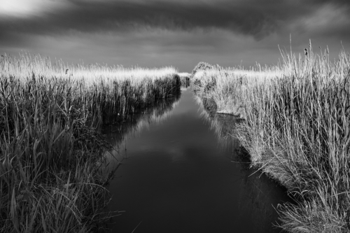 Canal with reed grass at lagoon “Etang du Vaccares”, Camargue, France